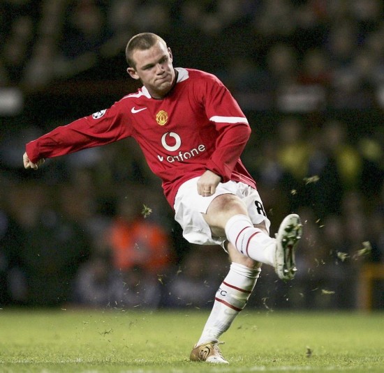 新与这家老 新与这家老