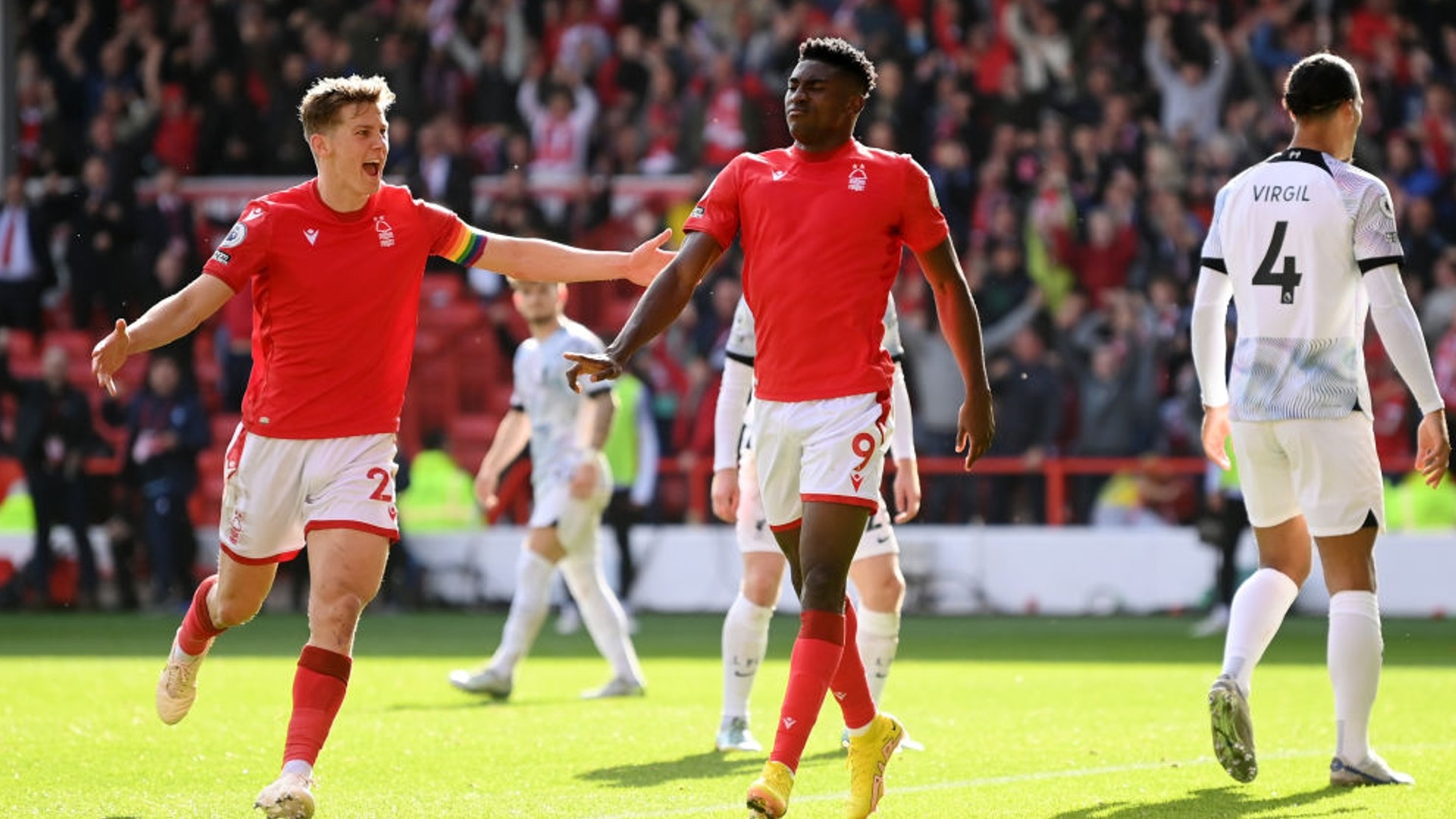 质的培养 质的培养